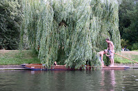 IMG_4596.JPG