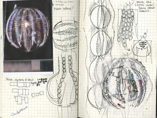 [jelly%2520sketchbook2%255B6%255D.jpg]