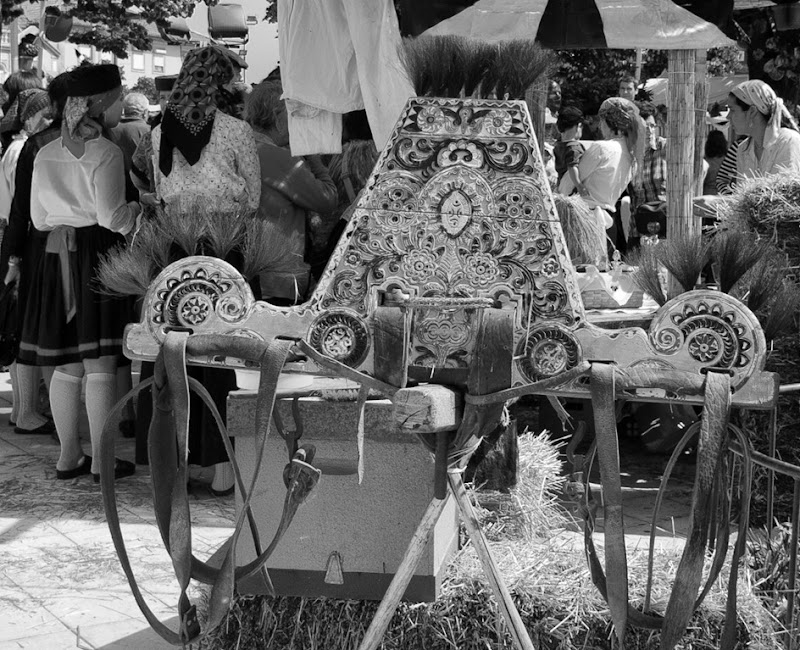 DSC_3153bw