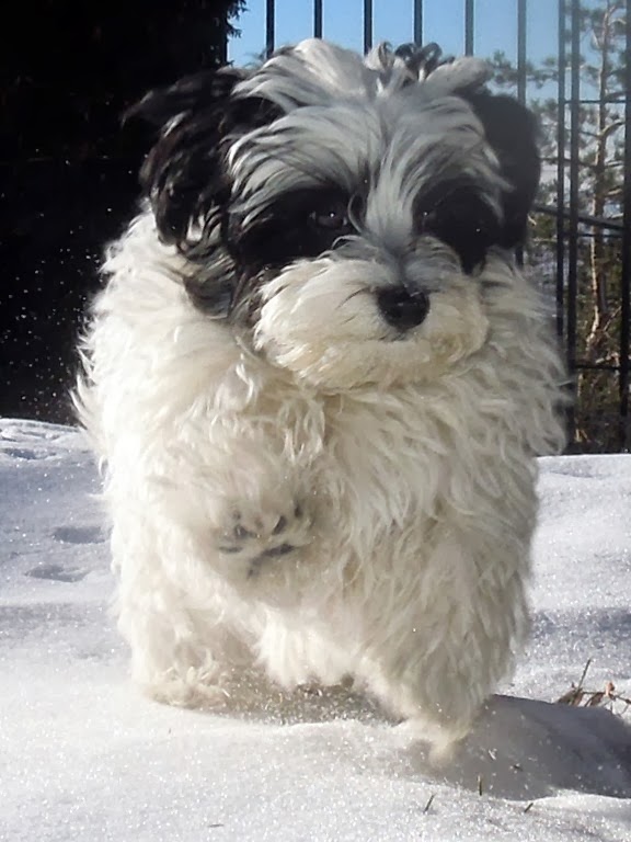 [DSCN0356%255B7%255D.jpg]