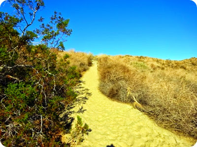 Coachella Valley