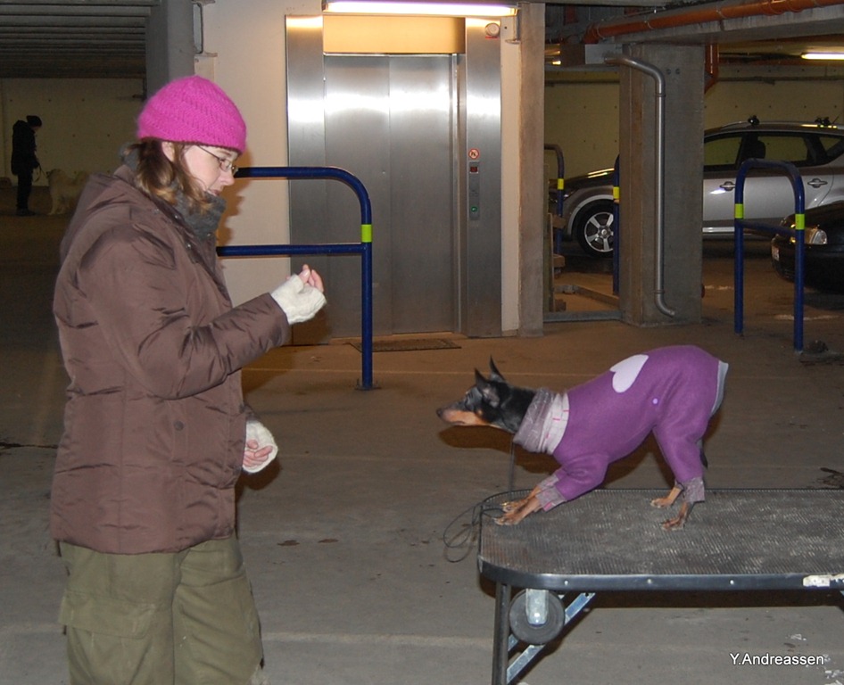 [DSC_7093%255B4%255D.jpg]