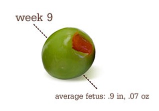 week9