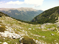 IMG_1425.JPG