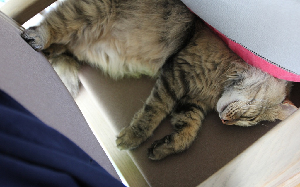 [IMG_1768%255B3%255D.jpg]