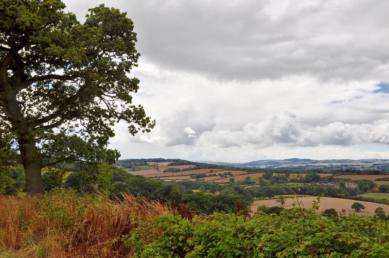 [Wilderhope%2520view%255B3%255D.jpg]