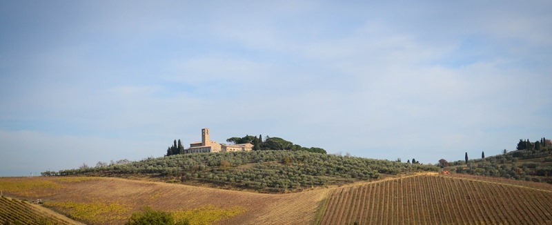 Volterra Matthew car2