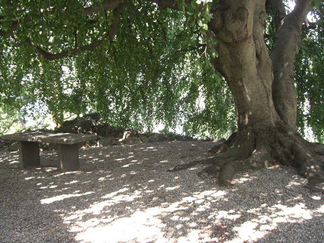 [CIMG47773.jpg]