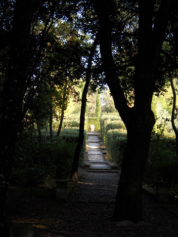 [Bosco%2520Ragnaia%2520021%255B3%255D.jpg]