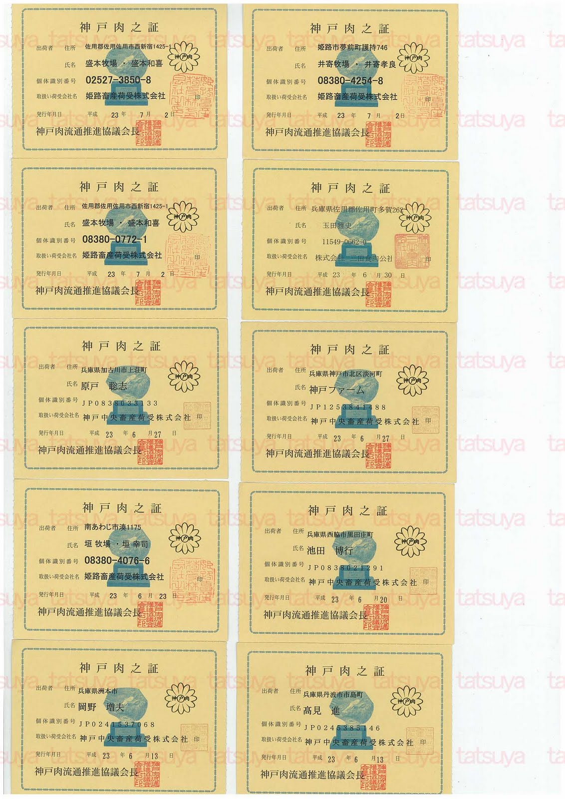 [LOT-11071501-%25231.jpg]