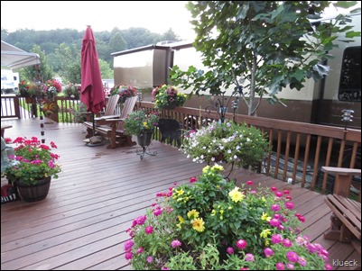 Eileen, dogs and flowers on deck