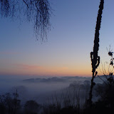 Wintery Morning