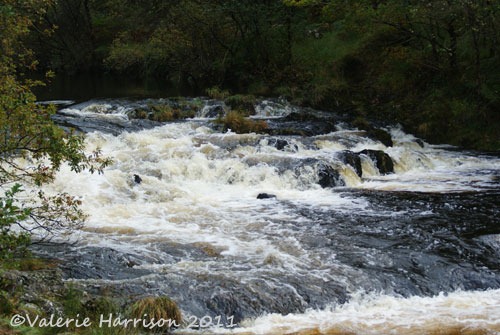 [6-Bargaly-glen-waterfall%255B2%255D.jpg]