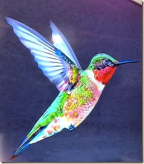 google_hummingbird_algorithm