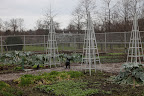 Rooting Around in the Vegetable Garden