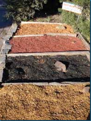 Gardening Naturally with Claudia: Mulch–Choices that Affect the Soil