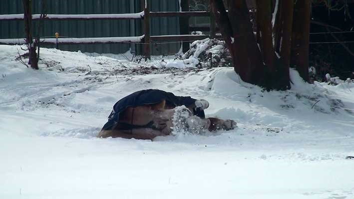 [Schnee12%255B2%255D.jpg]