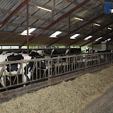 neeth 016.jpg