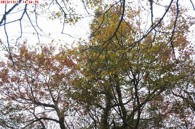 2013_1207_145425 2013_1207_145425