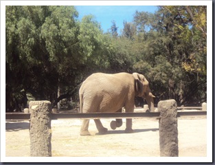 zoo 11