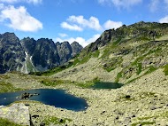 IMG_1355.jpg
