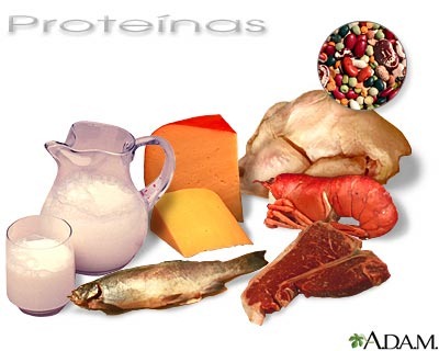 proteinas