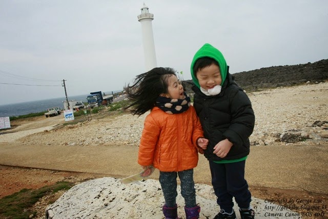 IMG_3113 IMG_3113