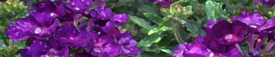 [cropped-cropped-purpleflowers41%255B1%255D%255B4%255D.jpg]