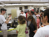 IMG_2240.jpg