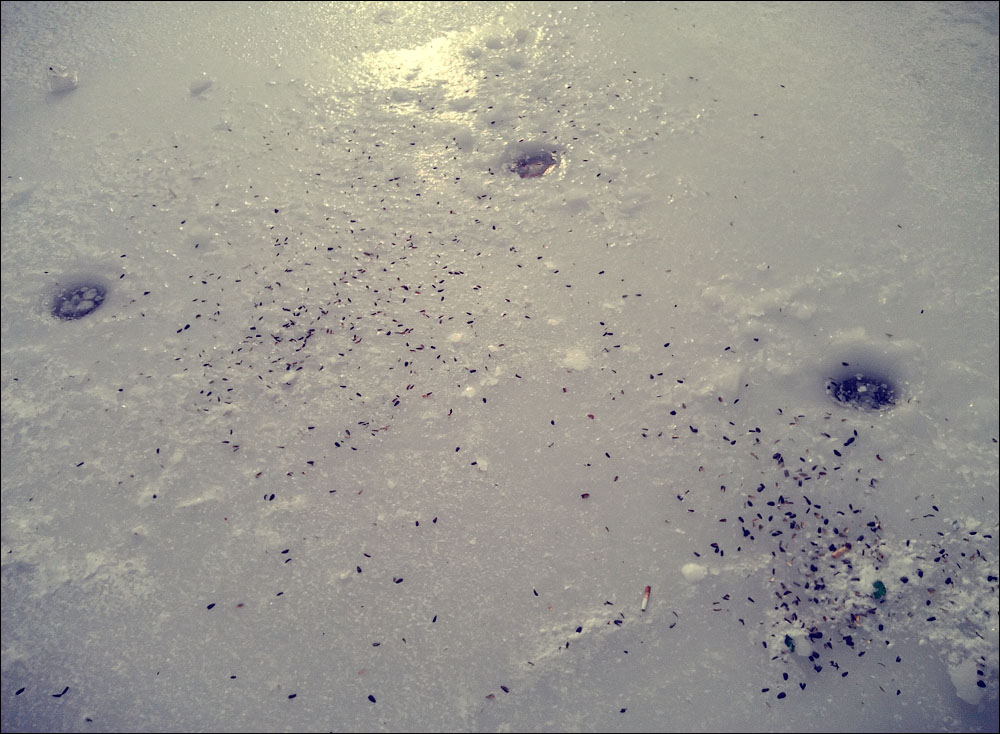 IMAG0141.jpg