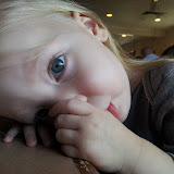Honey Haven Farm 2011