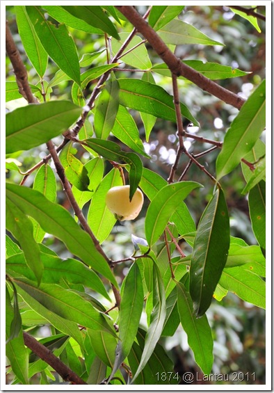 DSC_0528 DSC_0528