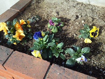2014-03-03 09.11.24.jpg