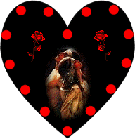 1 - corazon1 (13) 1 - corazon1 (13)