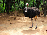 South Africa - 046.JPG