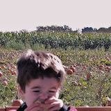 "Autumn Vampire" - copyright Caitlyn Dow