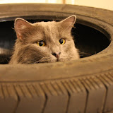 IMG_0645.JPG