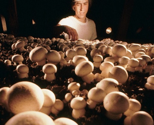 [clip_image003%255B4%255D.jpg]