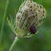 P7156658