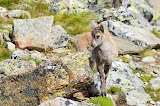 DSC_0308.JPG