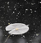 DSC_0118a.JPG