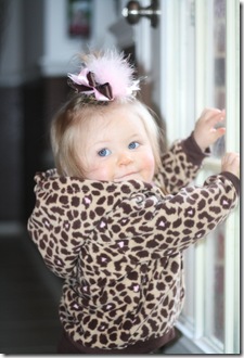 IMG_8103 IMG_8103