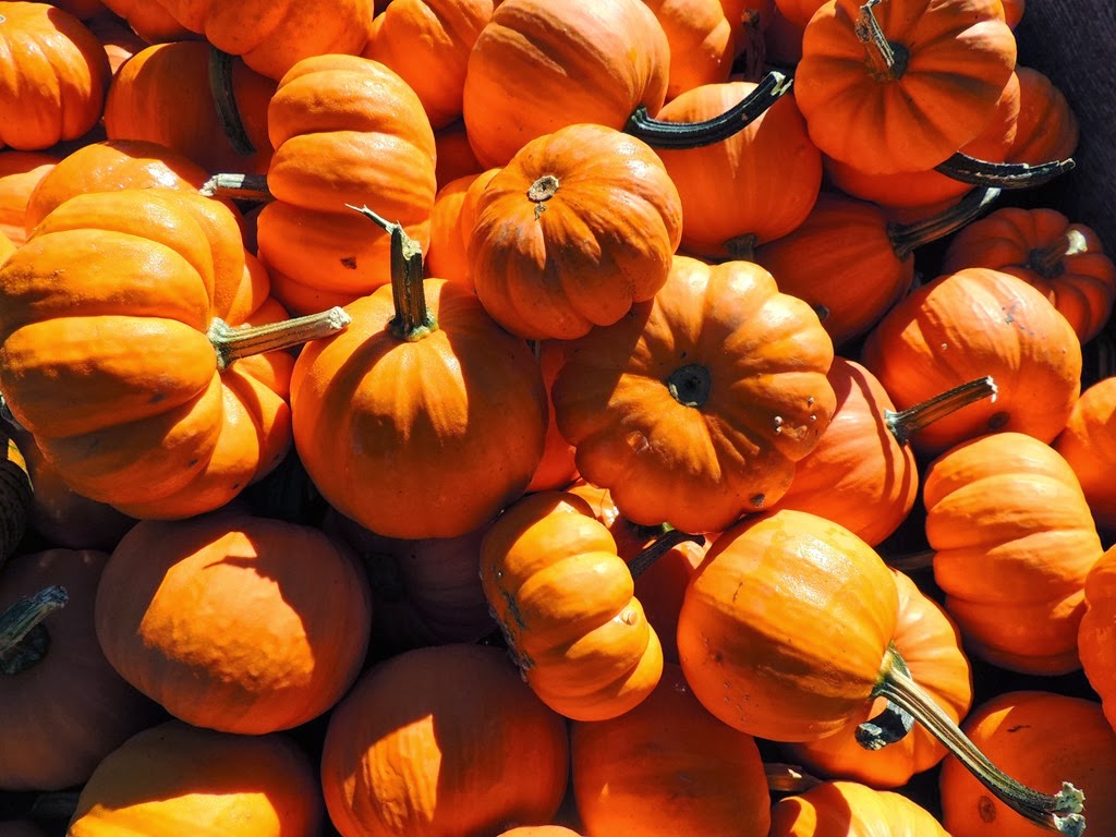 [DSCN6518%255B3%255D.jpg]