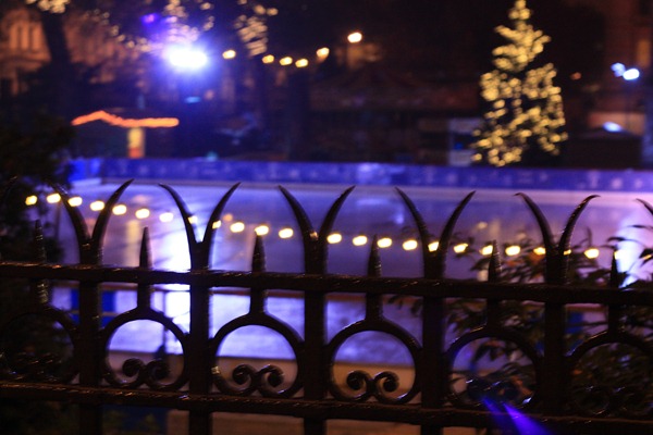 IMG_0205 IMG_0205
