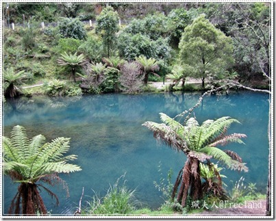 jenolan cave5