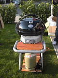 Grilleinführung