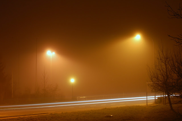 DSC_1448.JPG