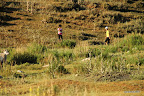 Two Kyrgyz children playing in the fields