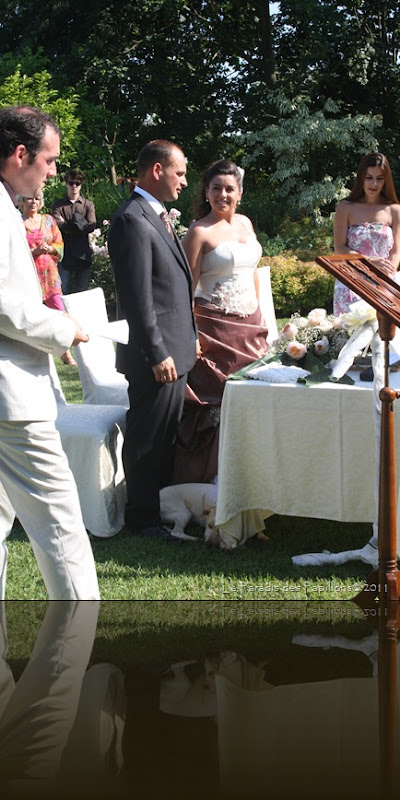 IMG_5136 IMG_5136