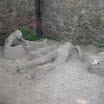 DSCN1686.JPG